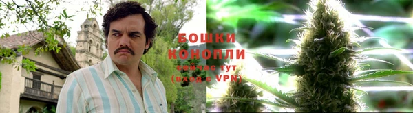 шишки Алексеевка