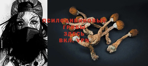 шишки Алексеевка