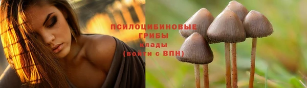 сатива Алзамай