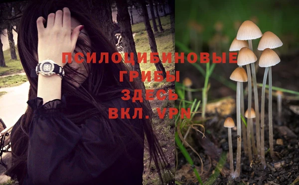крисы Алексин