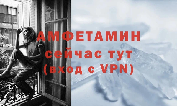 сатива Алзамай