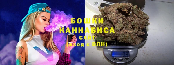 шишки Алексеевка
