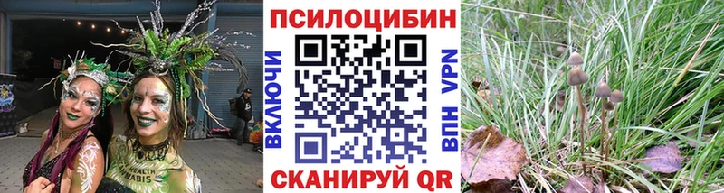 даркнет сайт  Брюховецкая  kraken как войти  Псилоцибиновые грибы Magic Shrooms 