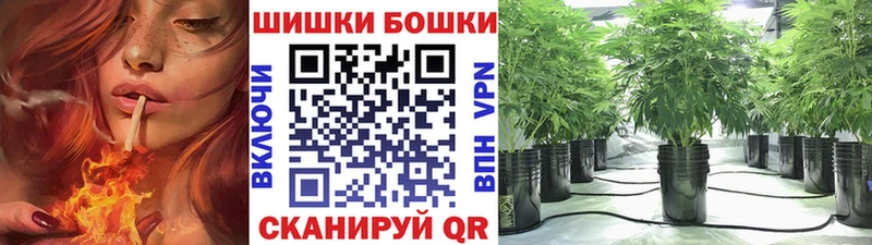 Бошки марихуана SATIVA & INDICA  купить закладку  Брюховецкая 